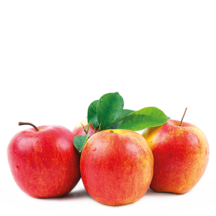 Fruteiras