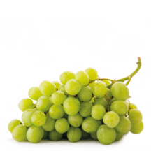 Vinha e fruteiras