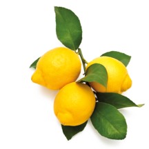 Fruteiras