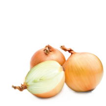 Hortícolas