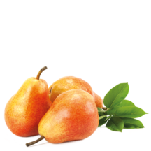 Fruteiras