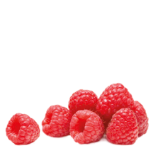 Pequenos frutos