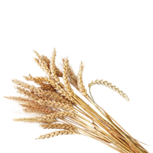Cereais