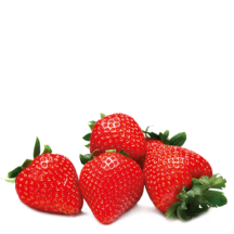 Hortícolas