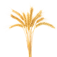 Cereais